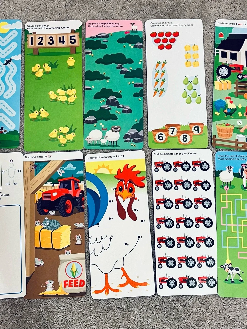 Farm Animals Activity Flash Cards for Kids - Pink Pig & Multi-Color Set